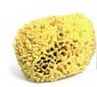 Natural Sea Sponge